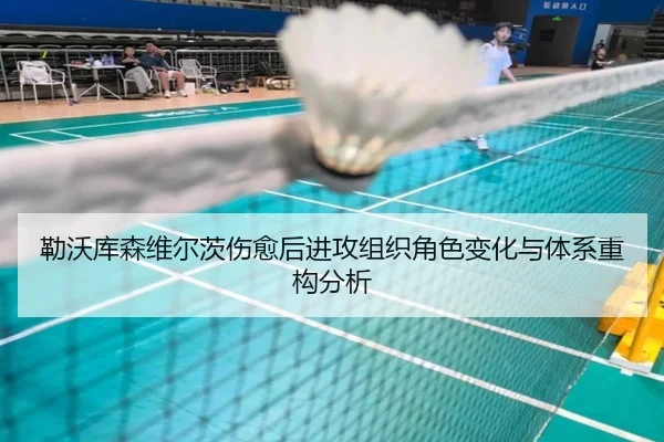 勒沃库森维尔茨伤愈后进攻组织角色变化与体系重构分析