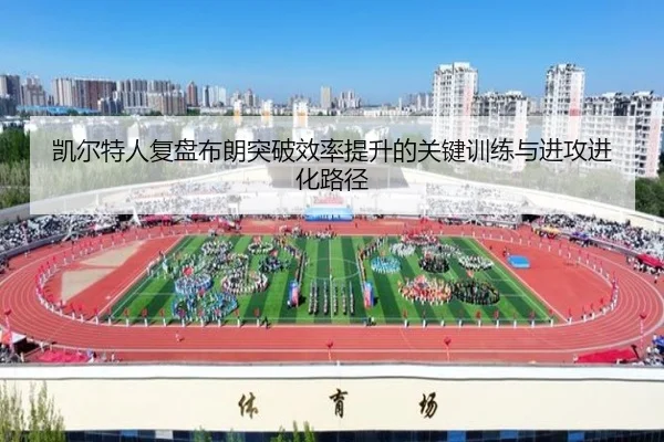 img_1781881227527_911_1_878.jpg